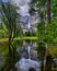 Just after the rain had come through the lighting was perfect for a reflection picture of Yosemite falls