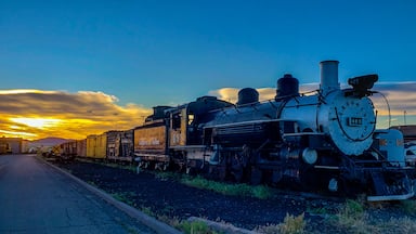 A steam locomotive with the number 495, parked on tracks with a sunset in the background.