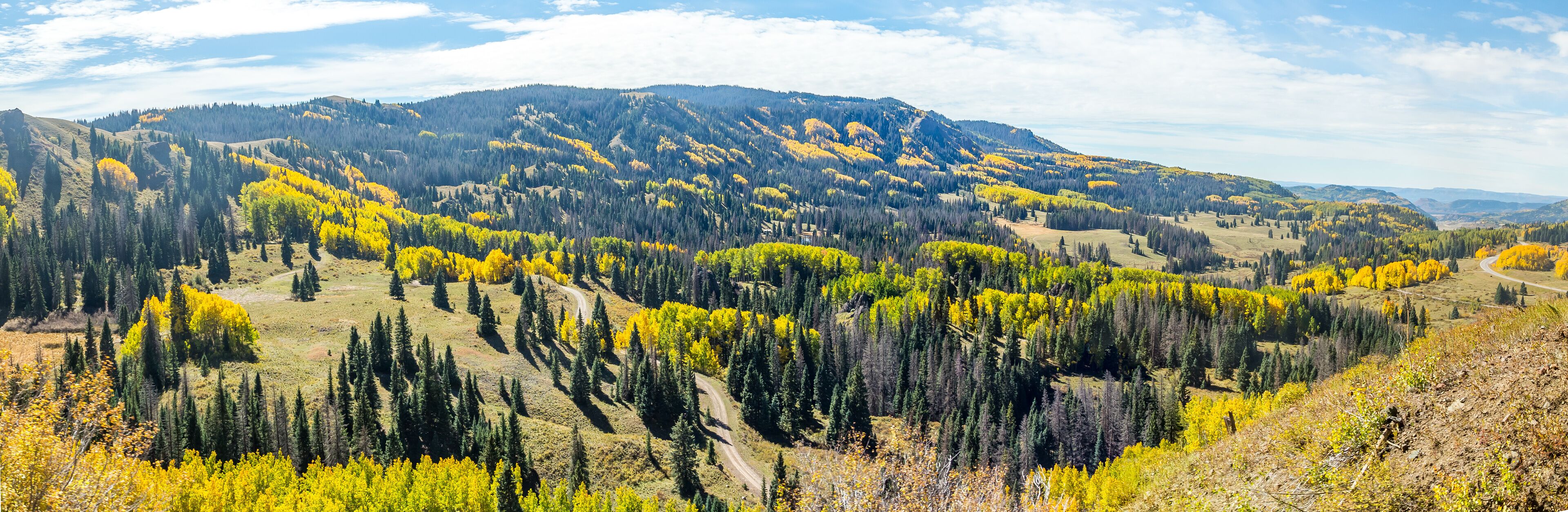 A mountainous landscape with yellow foliage and dense forests.
