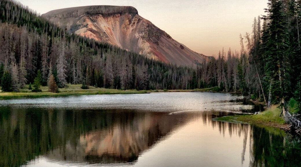 Coming around a curve on a forest service that you’ve been on for 25 miles to see this. San Juan mountains in Colorado.