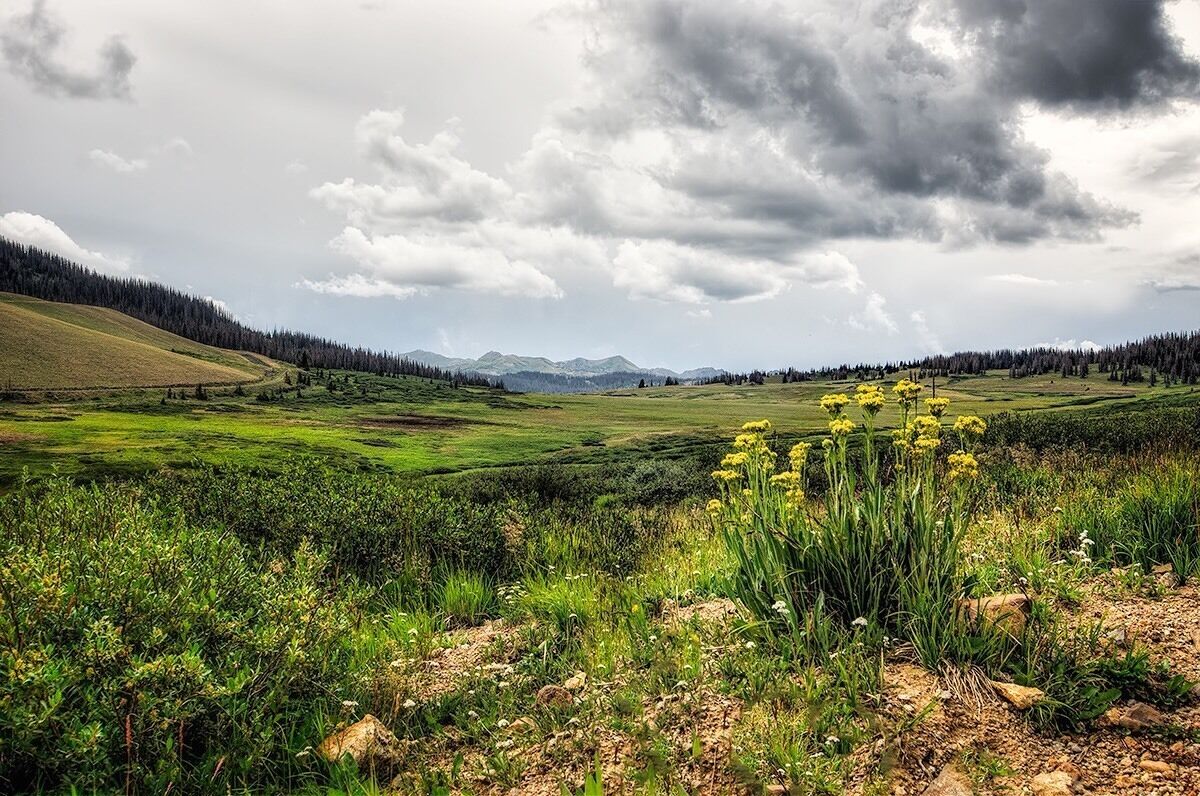 We rented Jeeps and drove some off road passes...soooo pretty.