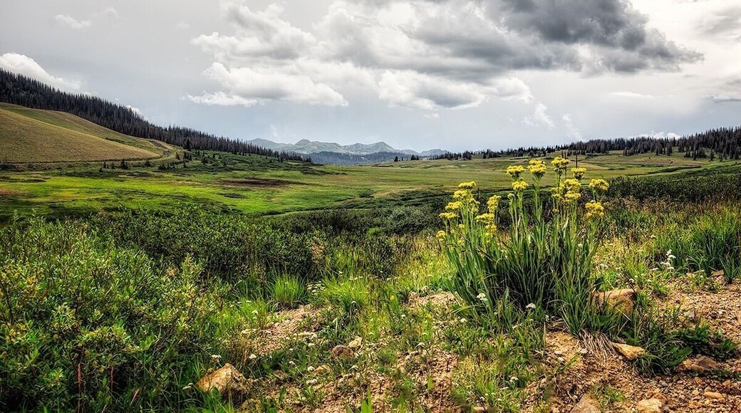 We rented Jeeps and drove some off road passes...soooo pretty.