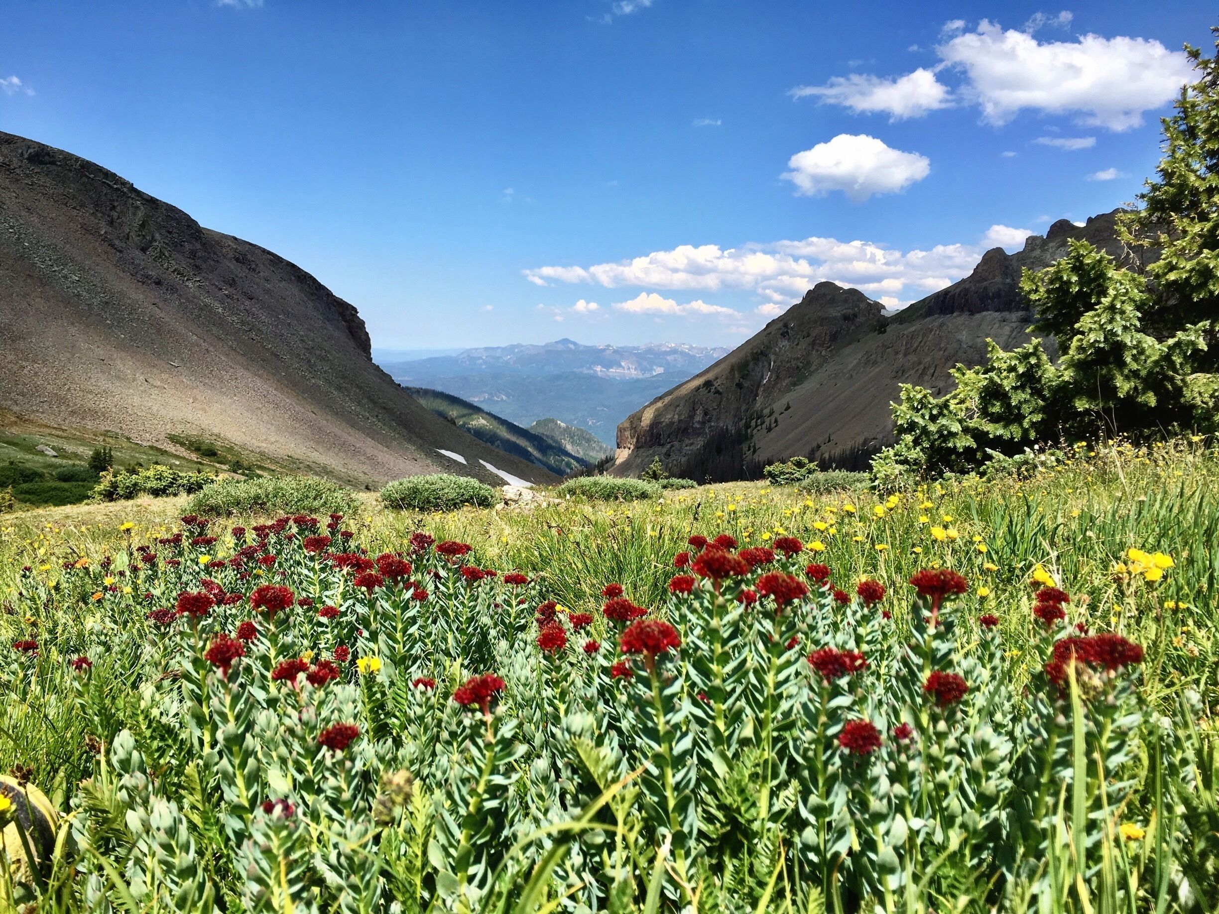 Entering into the Weminuche Wilderness in the San Juan mountains of southwestern Colorado. Accessible from either the western side or eastern side of Elwood Pass close to Pagosa Springs. This hike starts at 11,345 ft and tops out at 12,350 ft. Continuing on this hike you end up at Crater Lake.  #takeahike