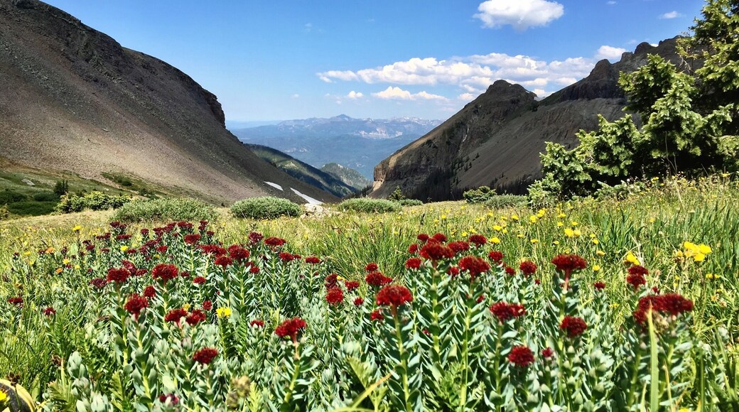 Entering into the Weminuche Wilderness in the San Juan mountains of southwestern Colorado. Accessible from either the western side or eastern side of Elwood Pass close to Pagosa Springs. This hike starts at 11,345 ft and tops out at 12,350 ft. Continuing on this hike you end up at Crater Lake. #takeahike