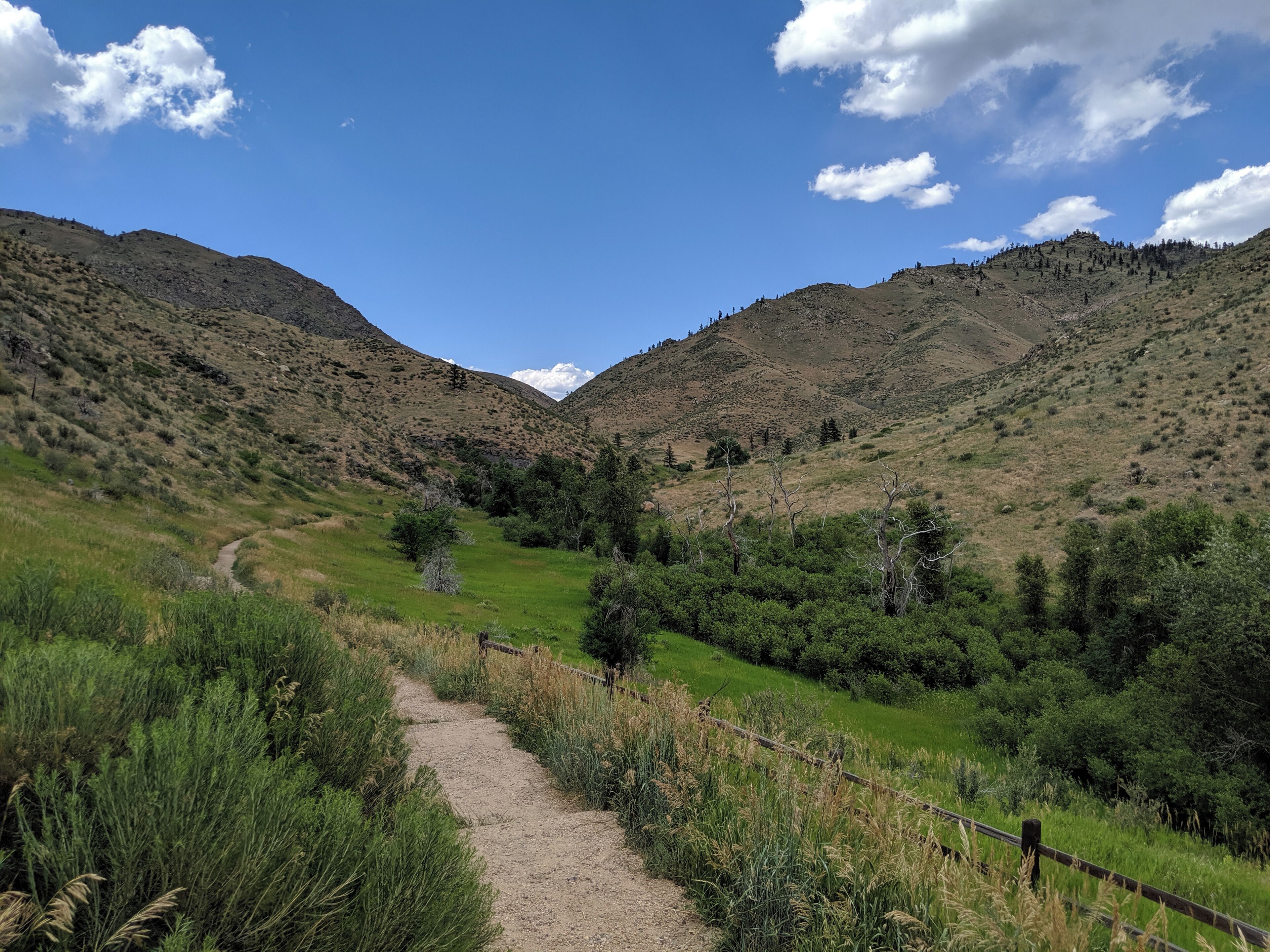 Life is all about the adventure. Where will this path take us? #nature #colorado #hike #sartoriustravels