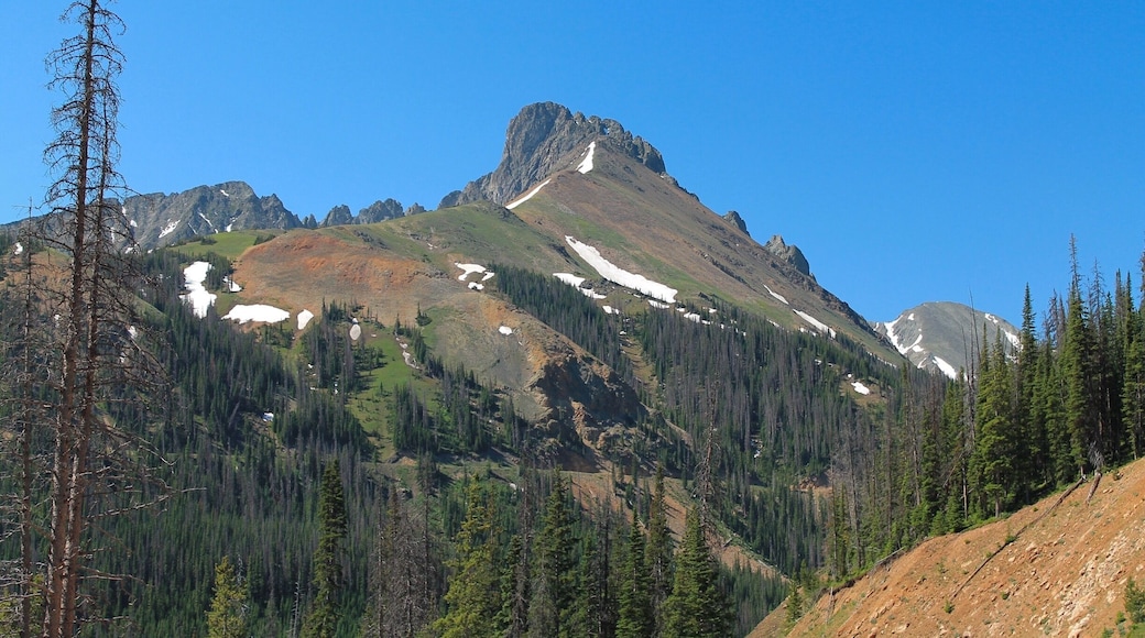 Another stunning view along Cache la Poudre Scenic Drive. I'd rate this drive a 4 out of 10 on a Top Ten list for things to do near Rocky Mountain National Park, it's that beautiful. You come to this view between the Continental Divide and State Forest State Park. I think this is Owl Mountain. #colorado #RockyMountain #mountain #EndlessSummer #blue #colorful