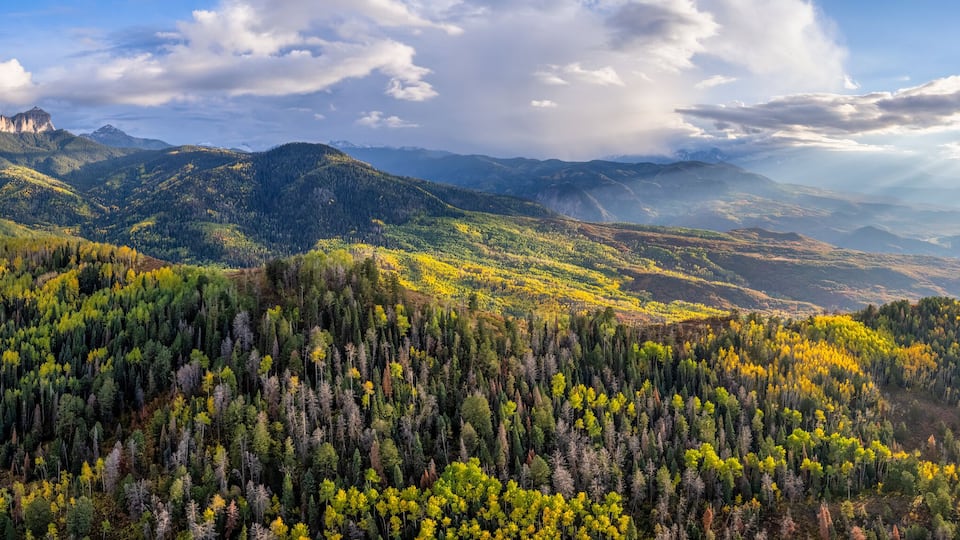 A mountainous landscape with dense forests and winding roads.