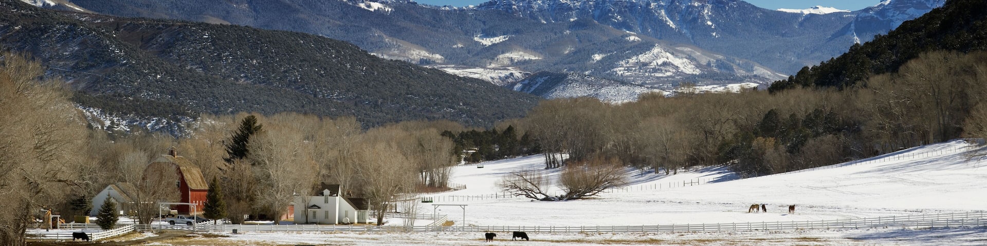 Cimarron Ridge above farm Uncompahgre National Forest, COLORADO