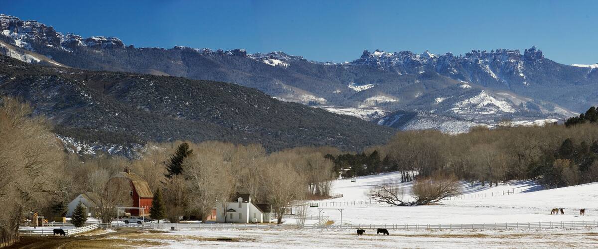 A snowy mountain landscape with a barn, a few cows grazing, and a clear blue sky.