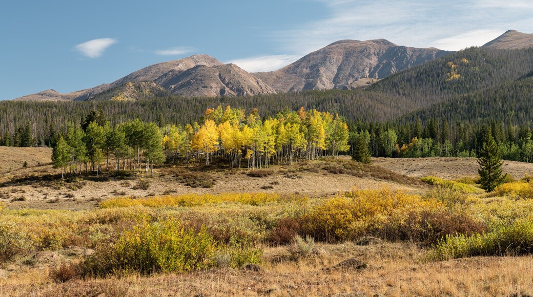 Fall in the Rawah Mountain Range of Northern Colorado.
Lewis Peak which is 12,654 Feet and the highest mountain is Clark Peak at 12,949 Feet, which is part of the Rawah Mountain Range.