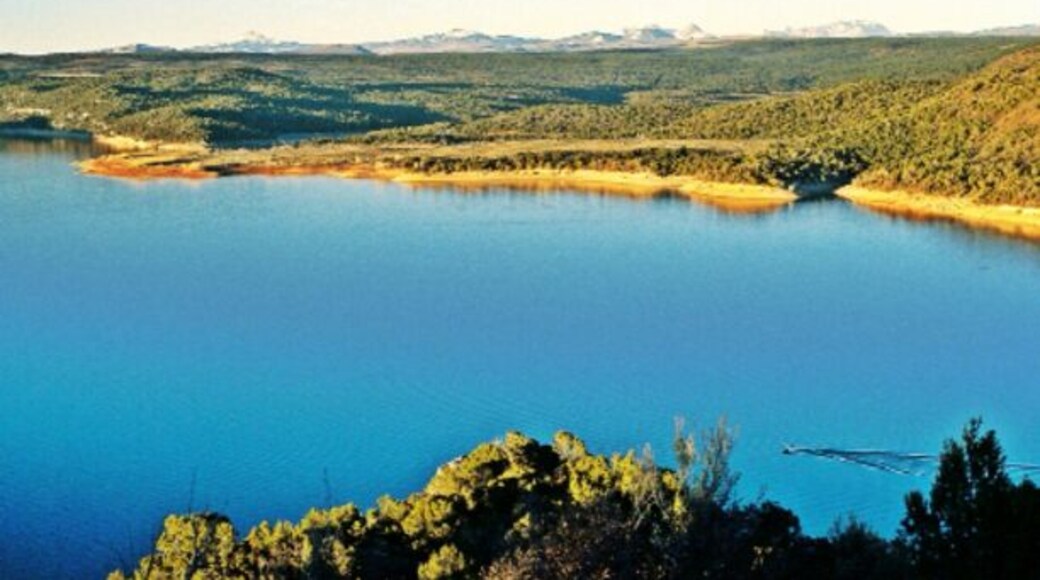 McPhee Reservoir near Dolores in southwest Colorado, a great place to camp
