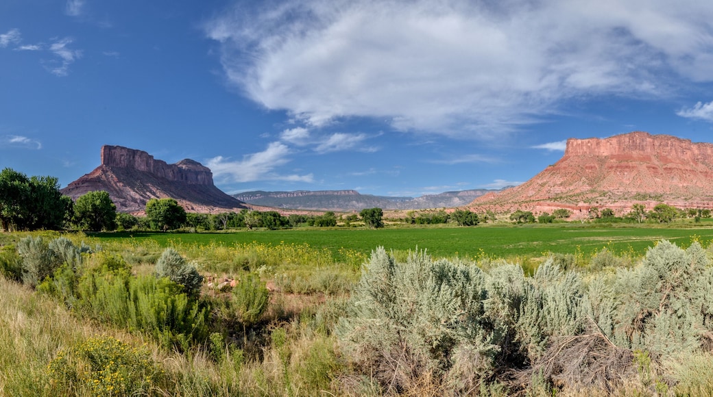 panoramic view of The Palisade butte and Dolores river valley at the crossing of Unaweep and Mesa Canyons
Unaweep-Tabeguache scenic byway, Gateway, Mesa County, Colorado, USA