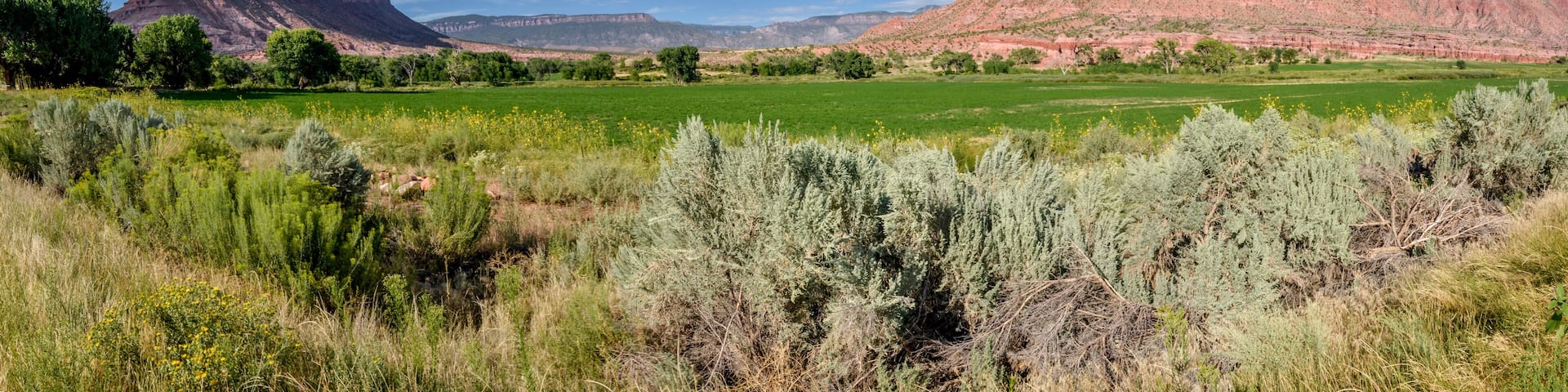 panoramic view of The Palisade butte and Dolores river valley at the crossing of Unaweep and Mesa Canyons
Unaweep-Tabeguache scenic byway, Gateway, Mesa County, Colorado, USA