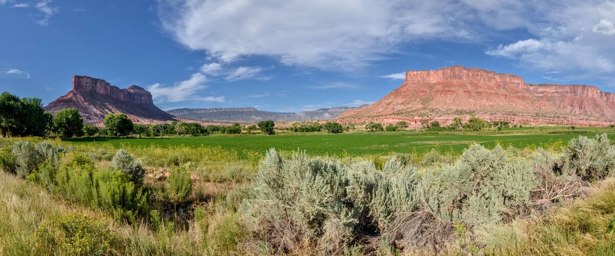 A mountainous landscape with green fields and sparse vegetation.