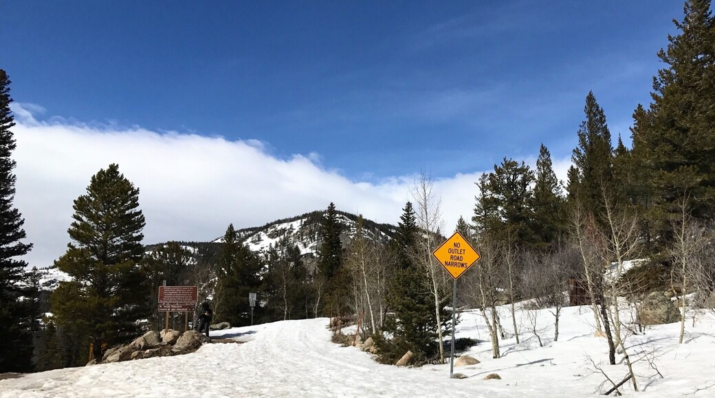 Stick to the trail! We found ourselves fighting through waist deep snow pretty quickly.
#TakeAHike
#colorado
#rockymountains
#hiking