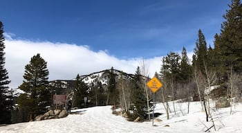 Stick to the trail! We found ourselves fighting through waist deep snow pretty quickly.
#TakeAHike
#colorado
#rockymountains
#hiking