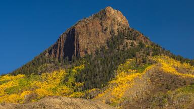 Colorado Fall Foliage