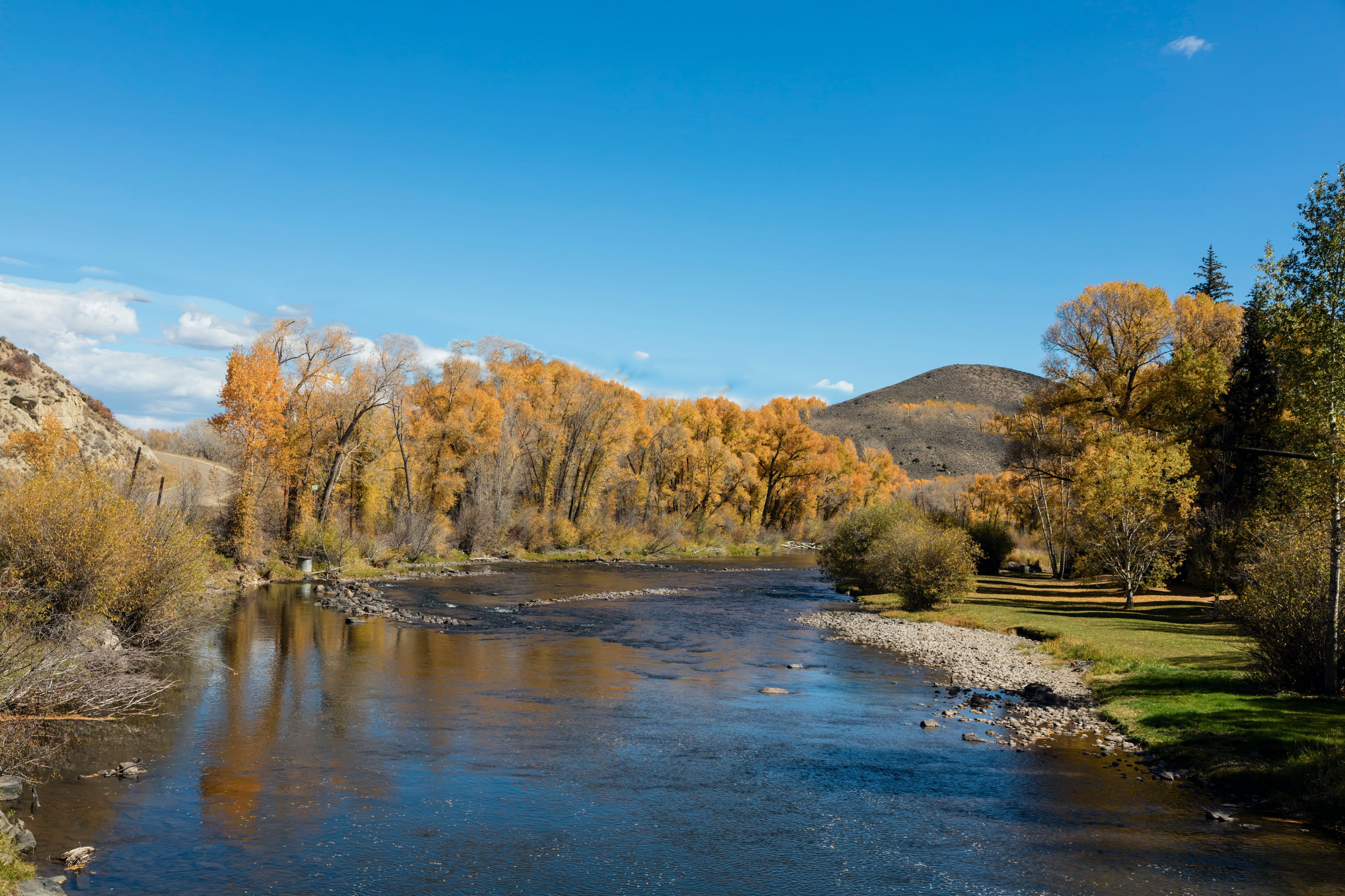 Mountain River in Autumn with Yellow Trees