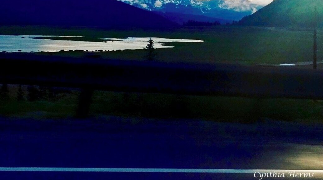 Nothing like Colorado ~ gorgeous panoramas everywhere you go. Frisco, CO.
iPhone photography while on the road. #BvSBlue #colorado #cynthiaherms