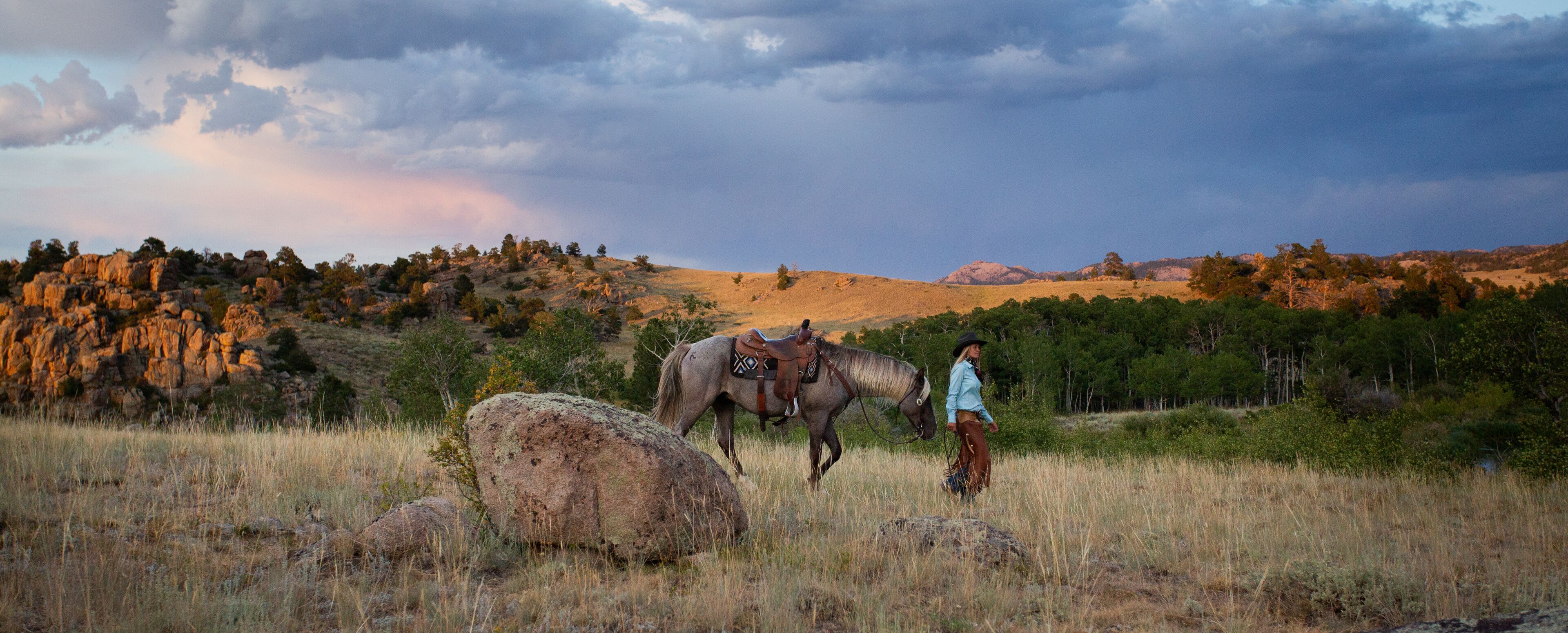 A person with a horse in a grassy field with rocky hills in the background.