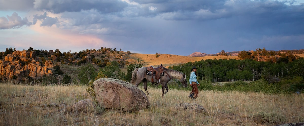 A person with a horse in a grassy field with rocky hills in the background.