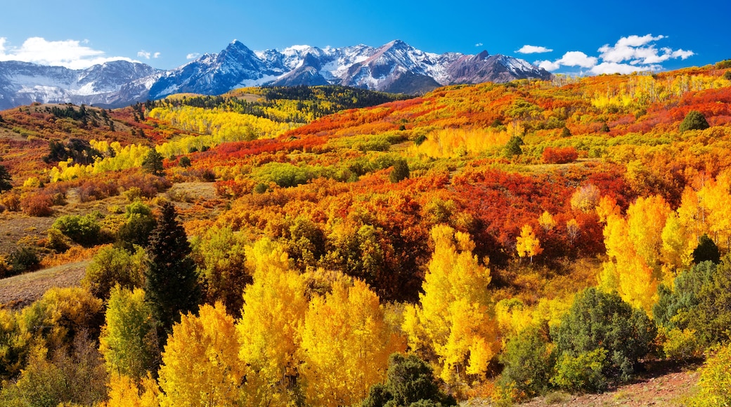 Dallas Divide Panorama near Ridgway, Colorado