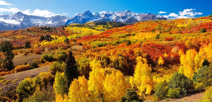 Dallas Divide Panorama near Ridgway, Colorado