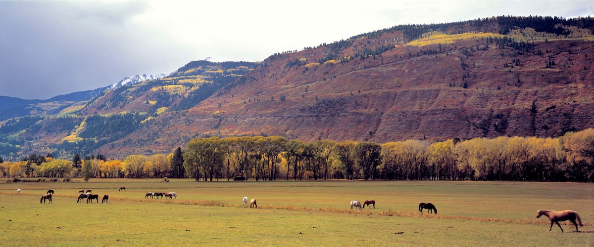 A field of horses grazing with autumn-colored trees and mountains in the background.