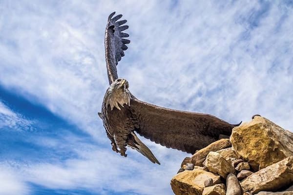 This is a park dedicated to the memory of Dennis Weaver who lived many years in Ridgeway, CO. It is beautifully done and tucked away on the West side of Highway 550.