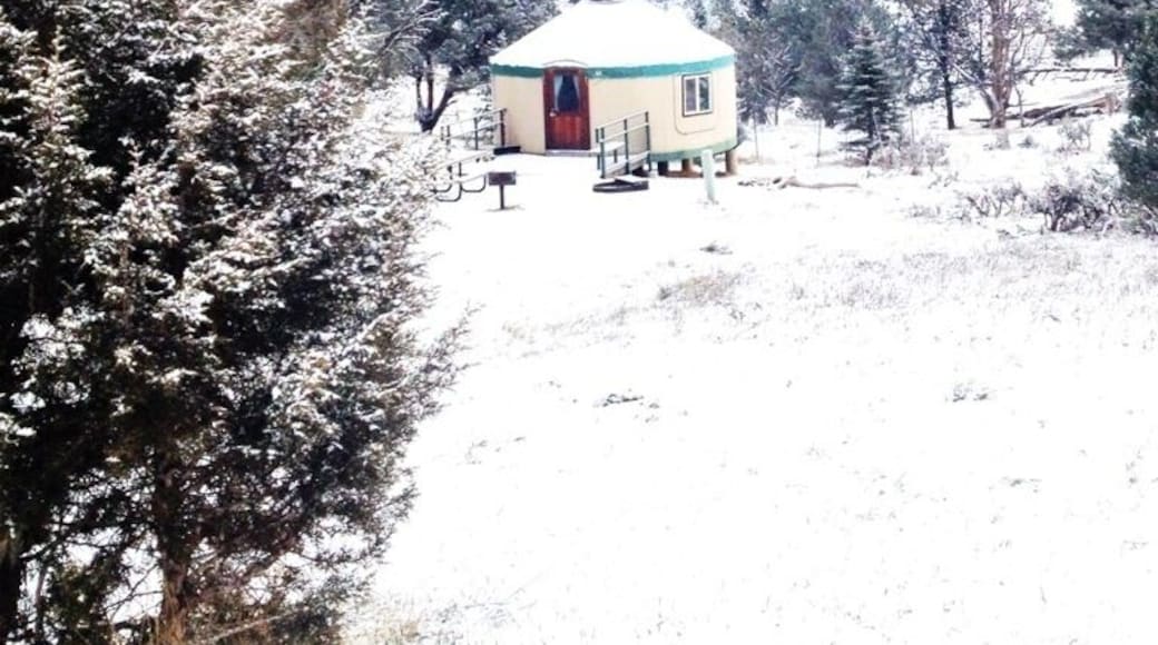 Interested in staying in a Yurt go to Ridgeway State Park's website for details just a new way of camping. Equipped with fire place, fridge and microwave.