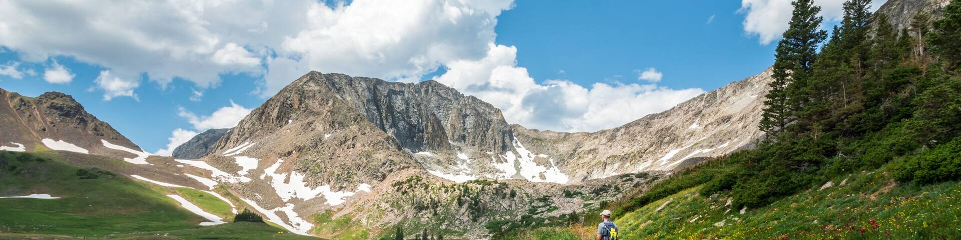 Wildflowers blooming along the trail while hiking the American Lakes Trail near Walden, Colorado