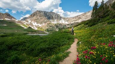 A mountain path with greenery and wildflowers, a hiker, and a rocky mountain range under a blue sky.