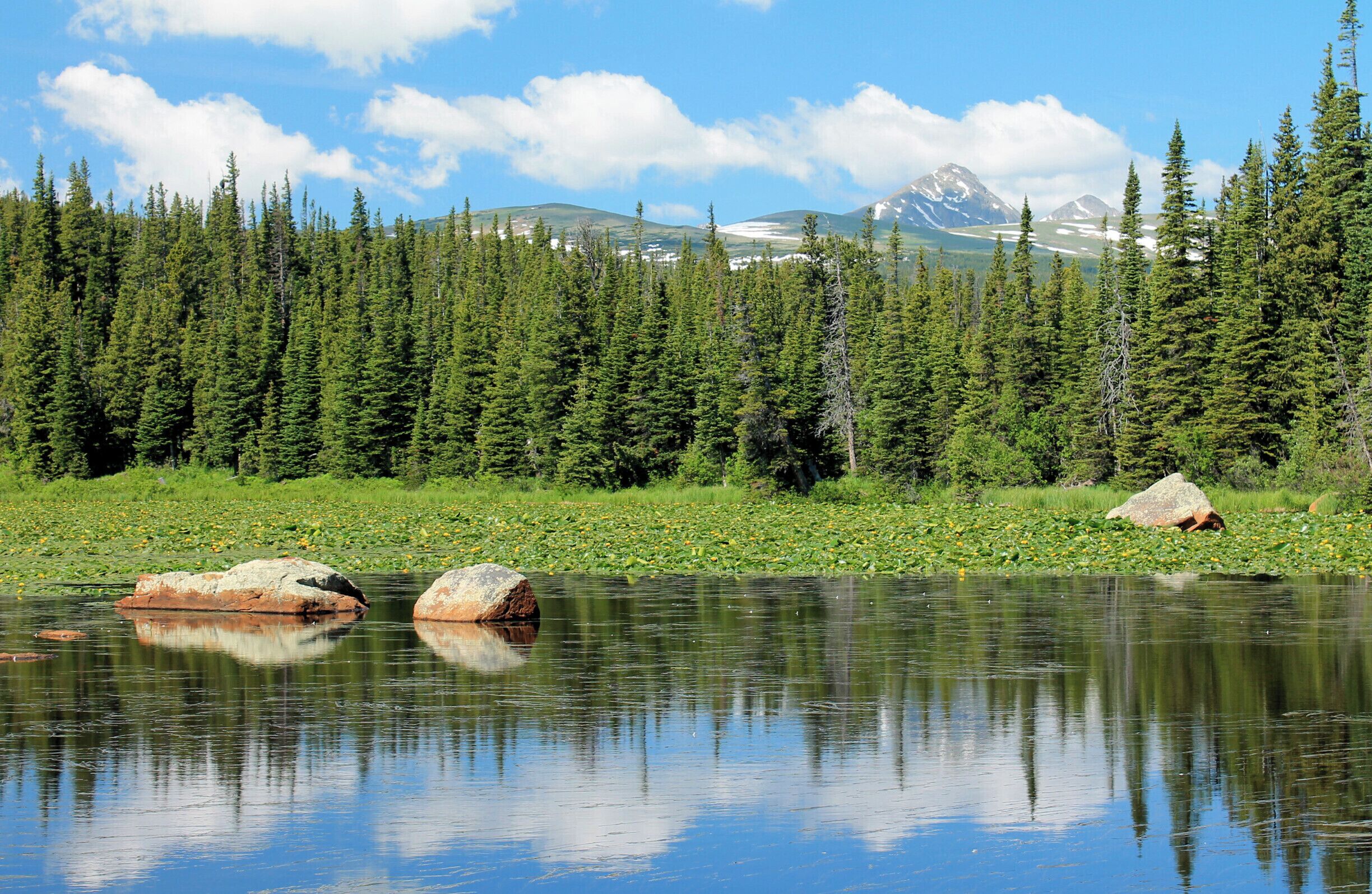 A calm lake with reflections of trees and rocks, surrounded by a dense forest and mountains in the background.
