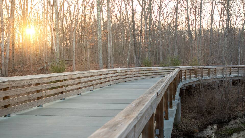 A wooden bridge over a river with a forested area in the background.