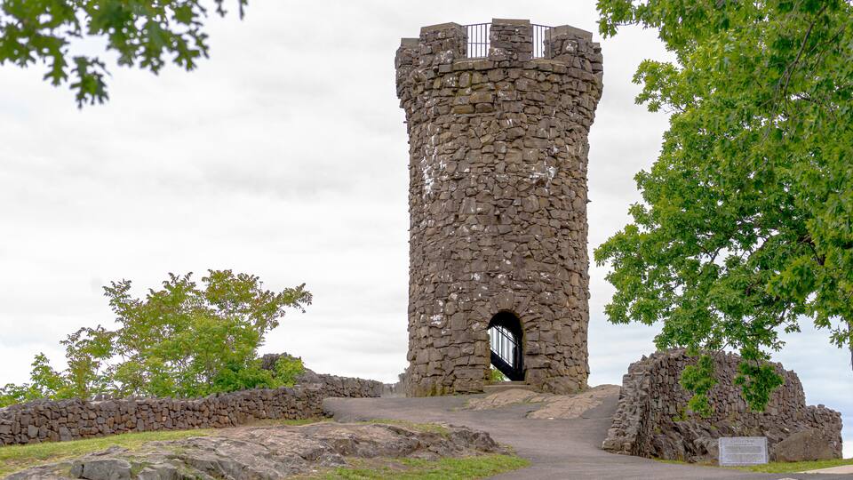 A stone tower with a metal gate, surrounded by trees and a stone wall.
