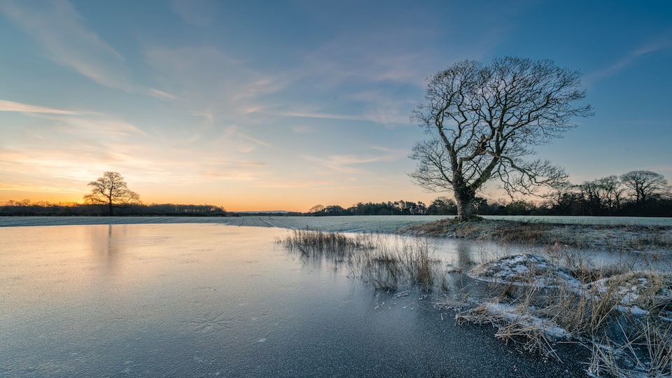 A frozen lake with a solitary tree in the foreground and a sunset in the background.