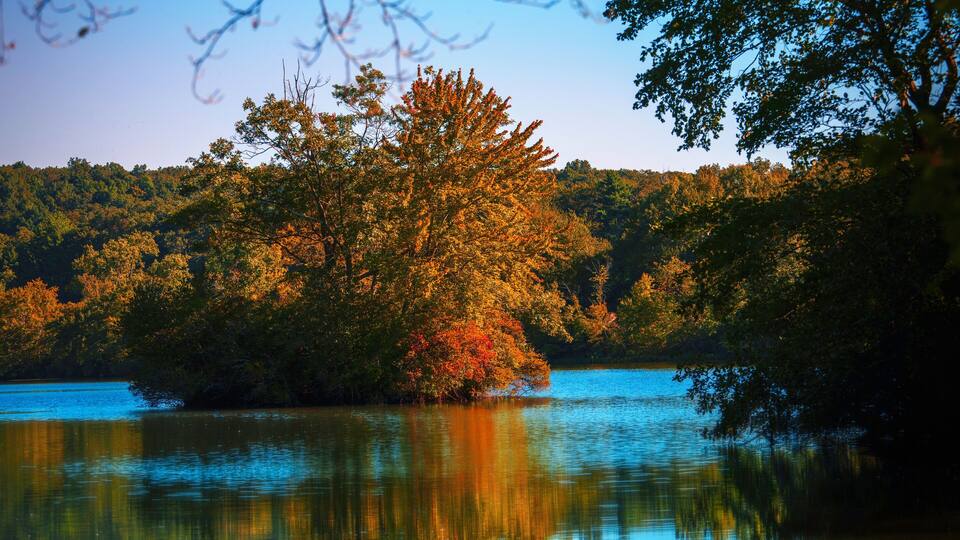 A calm lake with reflections of trees and a clear sky.