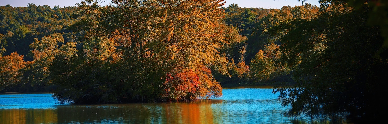 Um lago calmo refletindo árvores e um céu claro.