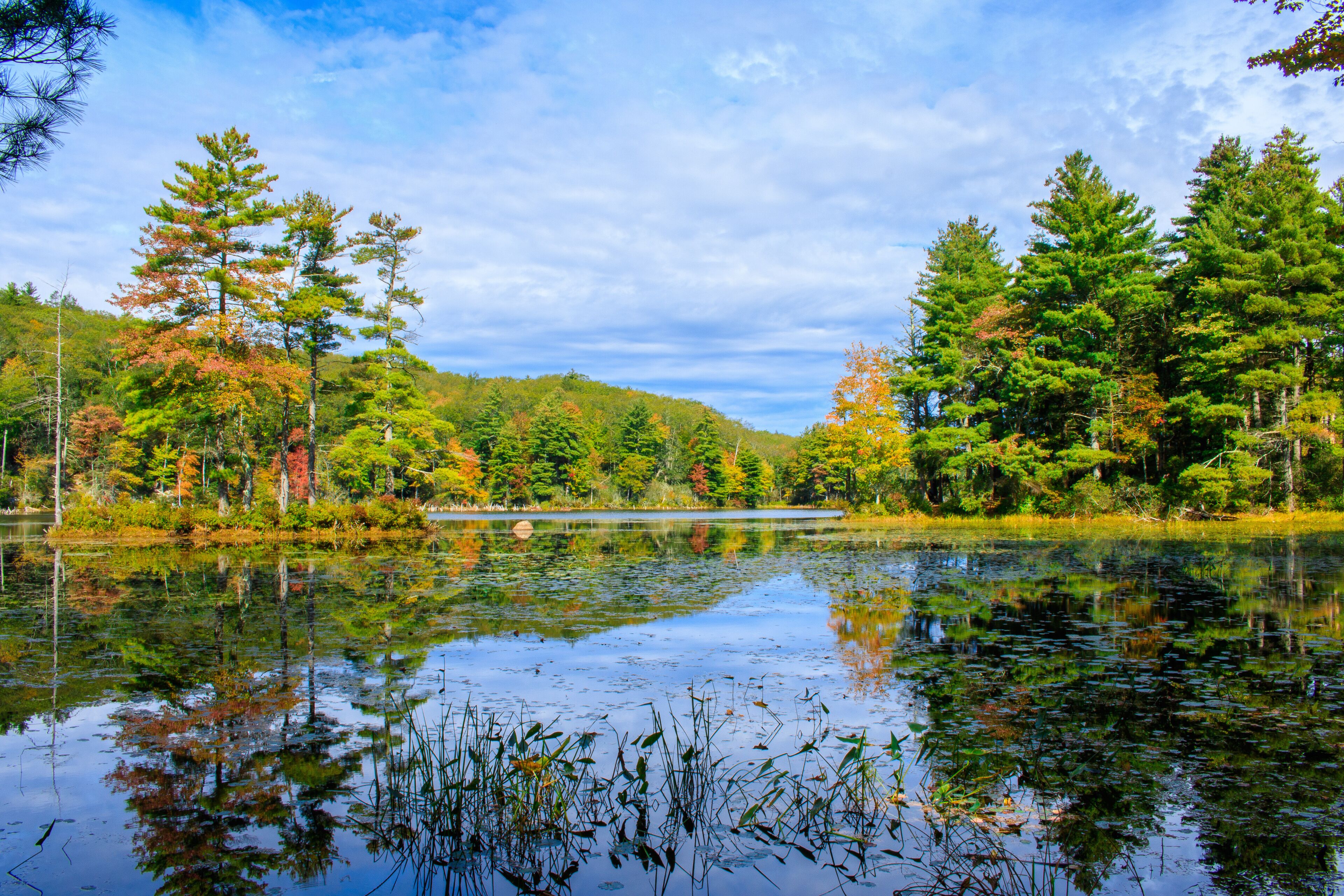 Autumn Reflection in Connecticut