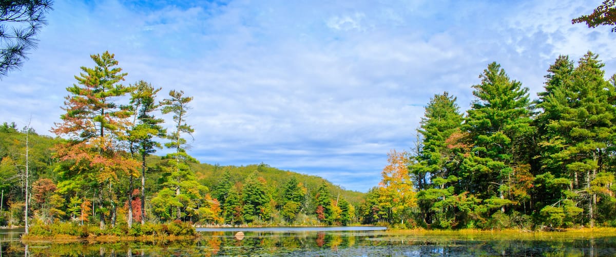 A calm lake surrounded by dense forest with autumn foliage.