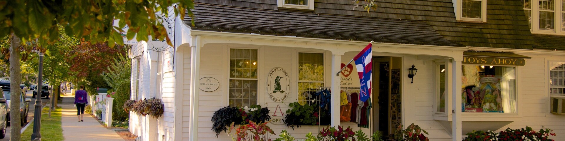 Essex featuring a house