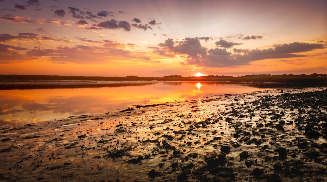 Sun Painted Shore Redeux