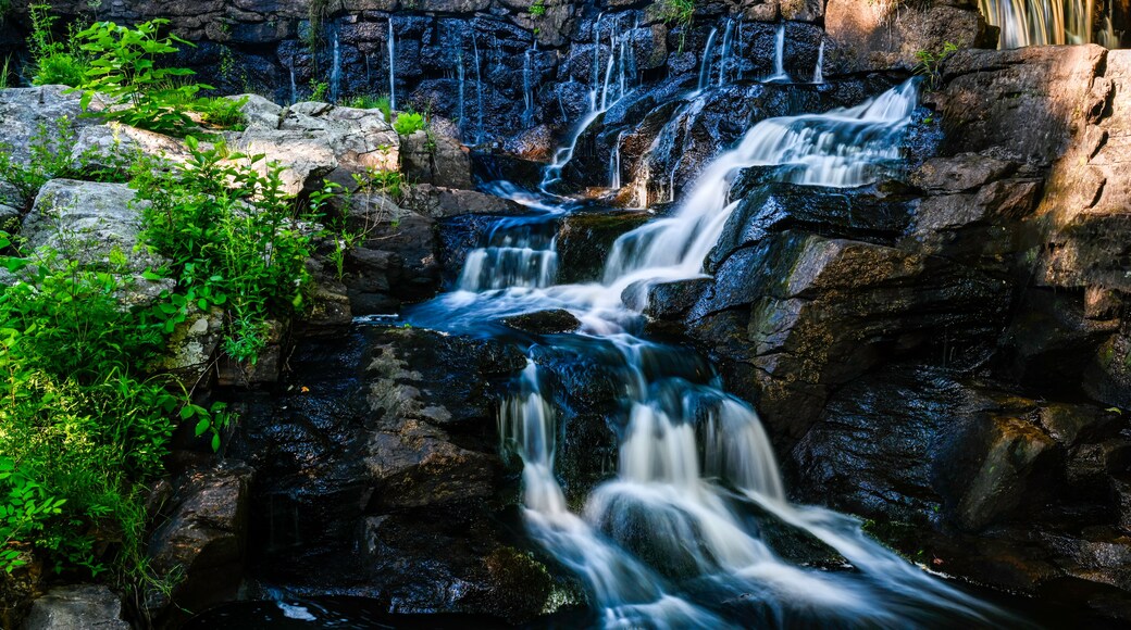 A multi-tiered waterfall cascading over dark rocks surrounded by lush greenery.