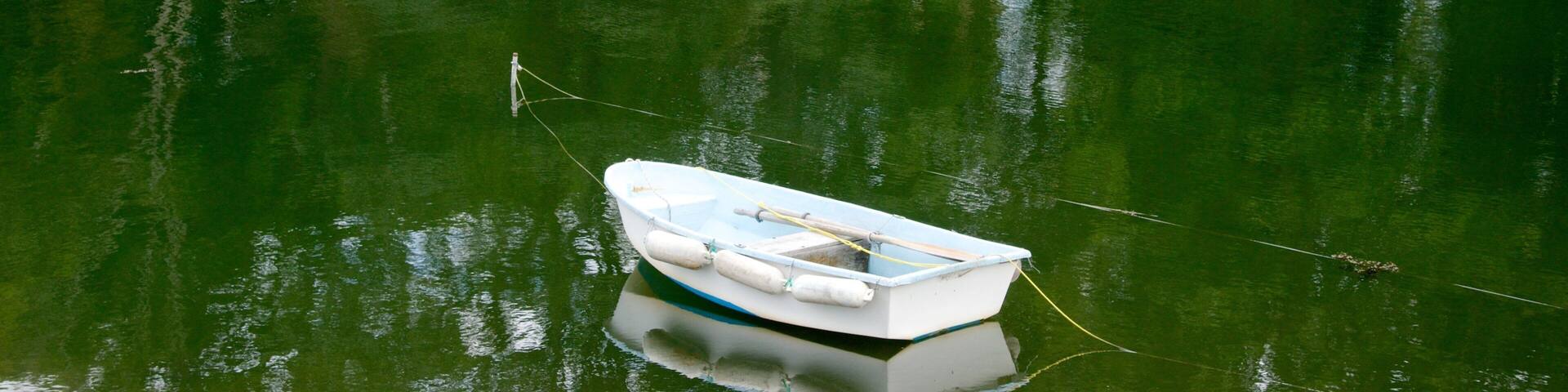 Noank featuring a pond