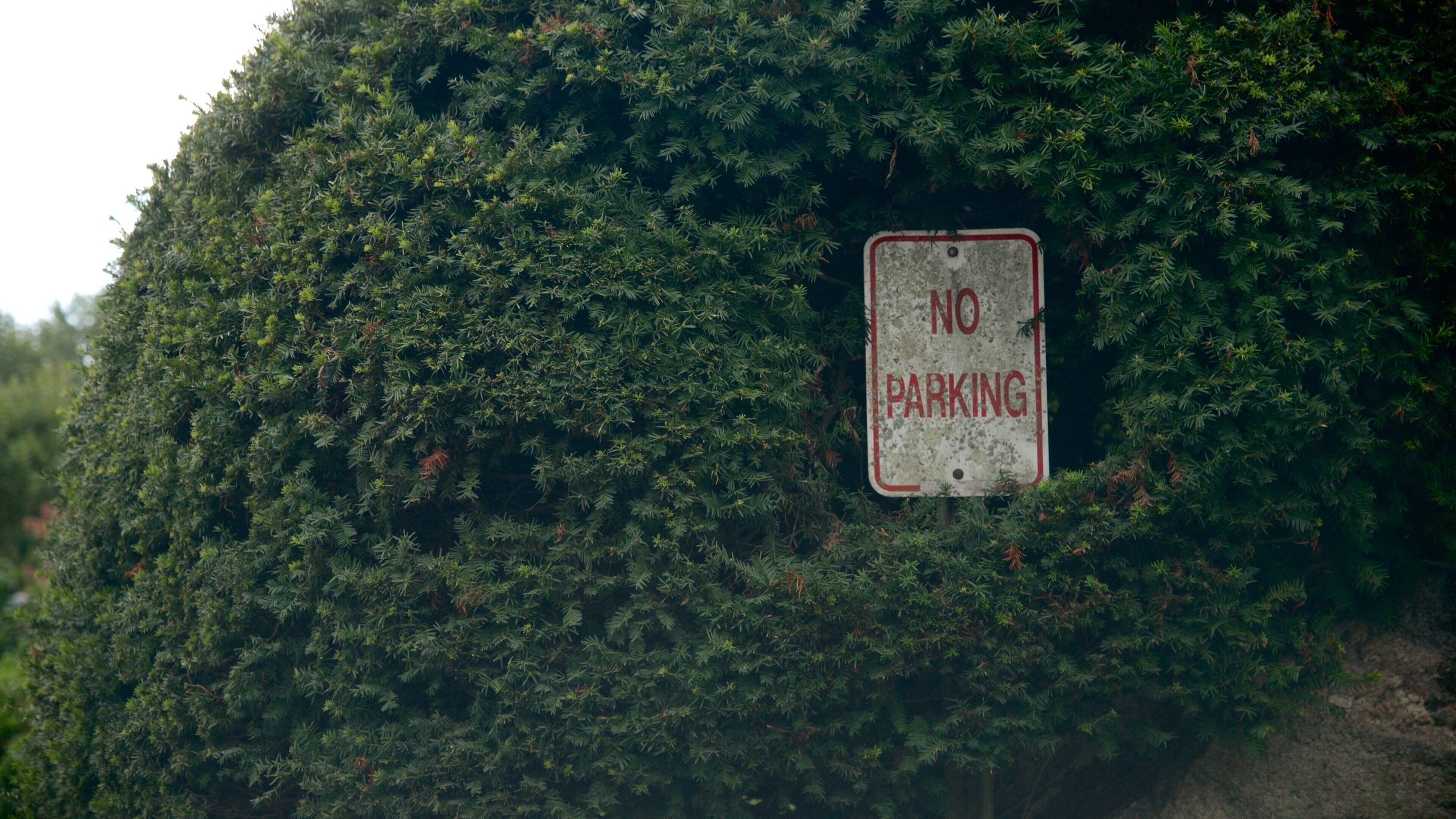 Noank which includes signage