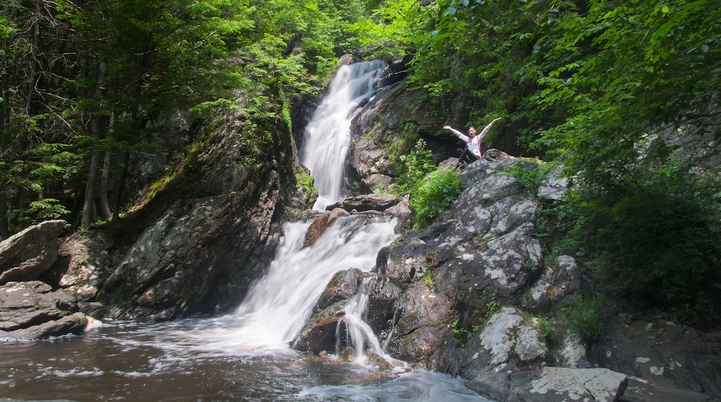 chinese woman celebrating near campbell falls