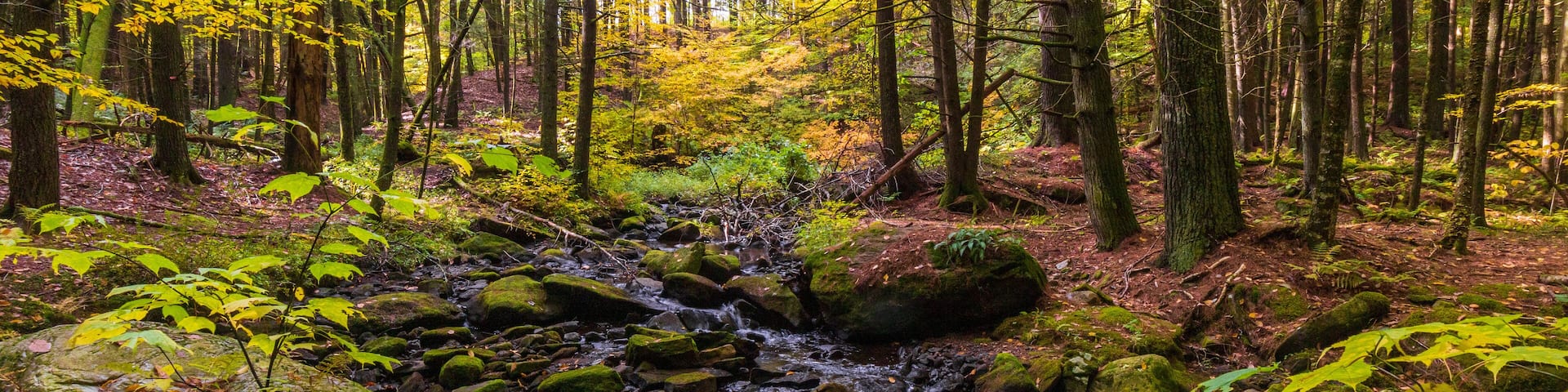 Whiting River in the fall