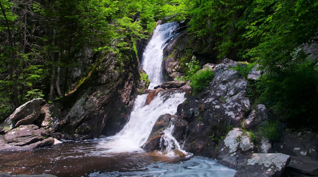 Campbell Falls state park norfolk connecticut