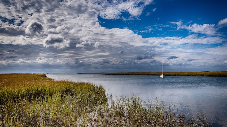 A calm lake with a sailboat, surrounded by tall grasses and a cloudy sky.
