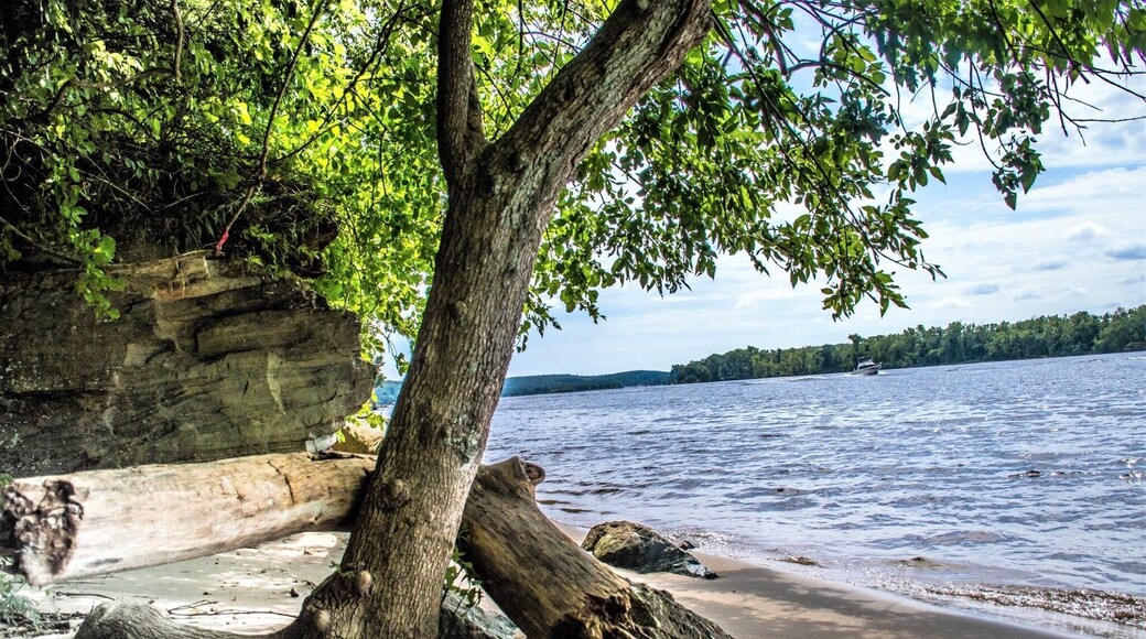 The shoreline is incredible at this place!!! Connecticut River!! Nice place to easy hike.. swim..sunbathe and picnic! Wonderful find!